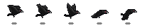 Crow Preview_2_1