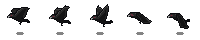 Crow Preview_9_1