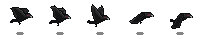 Crow Preview_10_1
