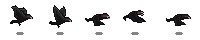 Crow Preview_14_1