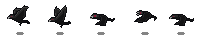 Crow Preview_16_1