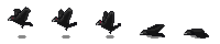Crow Preview_17_1