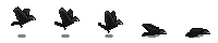 Crow Preview_18_1