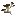 fungus 2