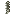 spine