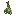 thyme