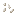 animal teeth