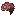 brain