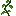 jungle_vine
