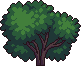 Bush1_2
