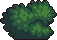 Bush1_3