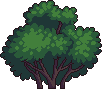 Bush1_1