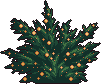 Bush2_1