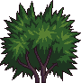 Bush3_1