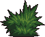 Bush3_3