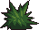 Bush3_4