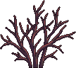 Bush4_1