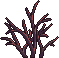 Bush4_3