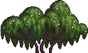 Bush5_1