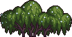 Bush5_2