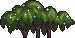 Bush5_3