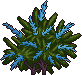 Bush6_2