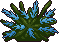 Bush6_3