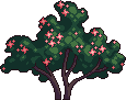 Bush7_1
