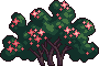 Bush7_2