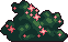 Bush7_3
