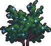 Bush8_1