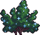 Bush8_2