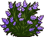 Bush9_1