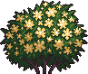 Bush10_1