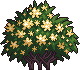 Bush10_2