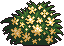 Bush10_3