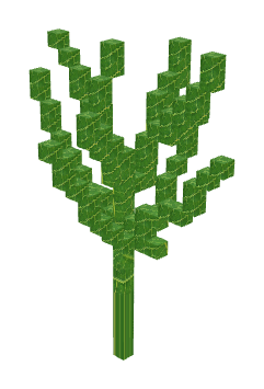 麻草