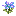 16flower6