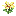 16flower8