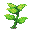 flower5