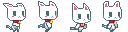 Cat_run_1