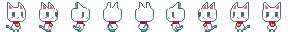 Cat_spining_1
